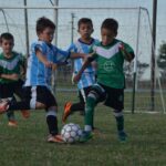 clasiquito 2016 cat caee