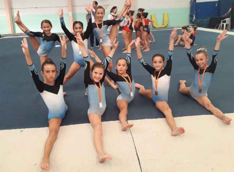 GIMNASIA ARTISTICA – Buenos resultados en el provincial