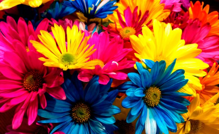 ESCUELA DE DEPORTES – Festejaremos la llegada de la primavera