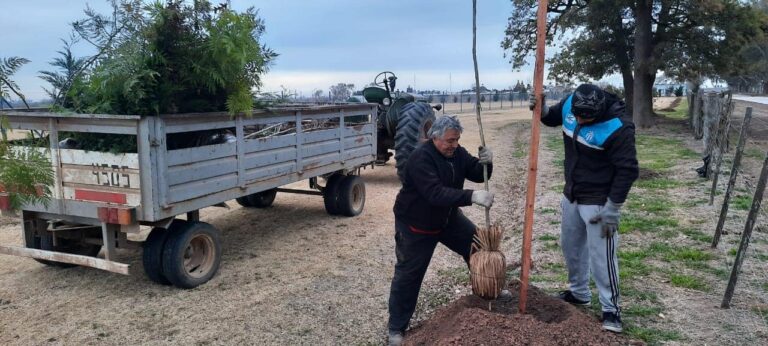 Se foresta el nuevo predio de Trebolense