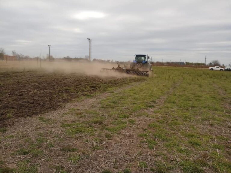 FUTBOL INFANTIL – Se marcan dos nuevas canchas con el esfuerzo de la sub comsión