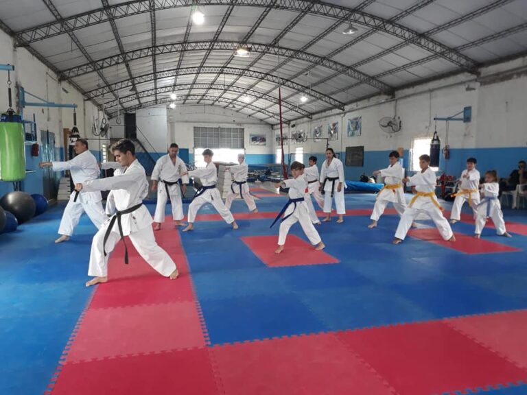 El Karate de Trebolense cerró el año con importantes visitas y prácticas presenciales