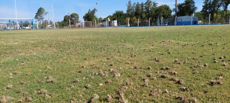 Aireado del campo de juego del estadio «Centenario»