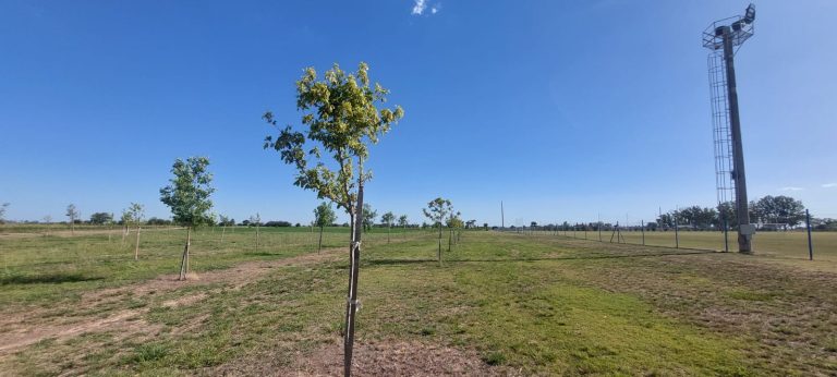 ECOLOGIA – Trebolense aportó al medio ambiente 410 nuevos árboles en 2022